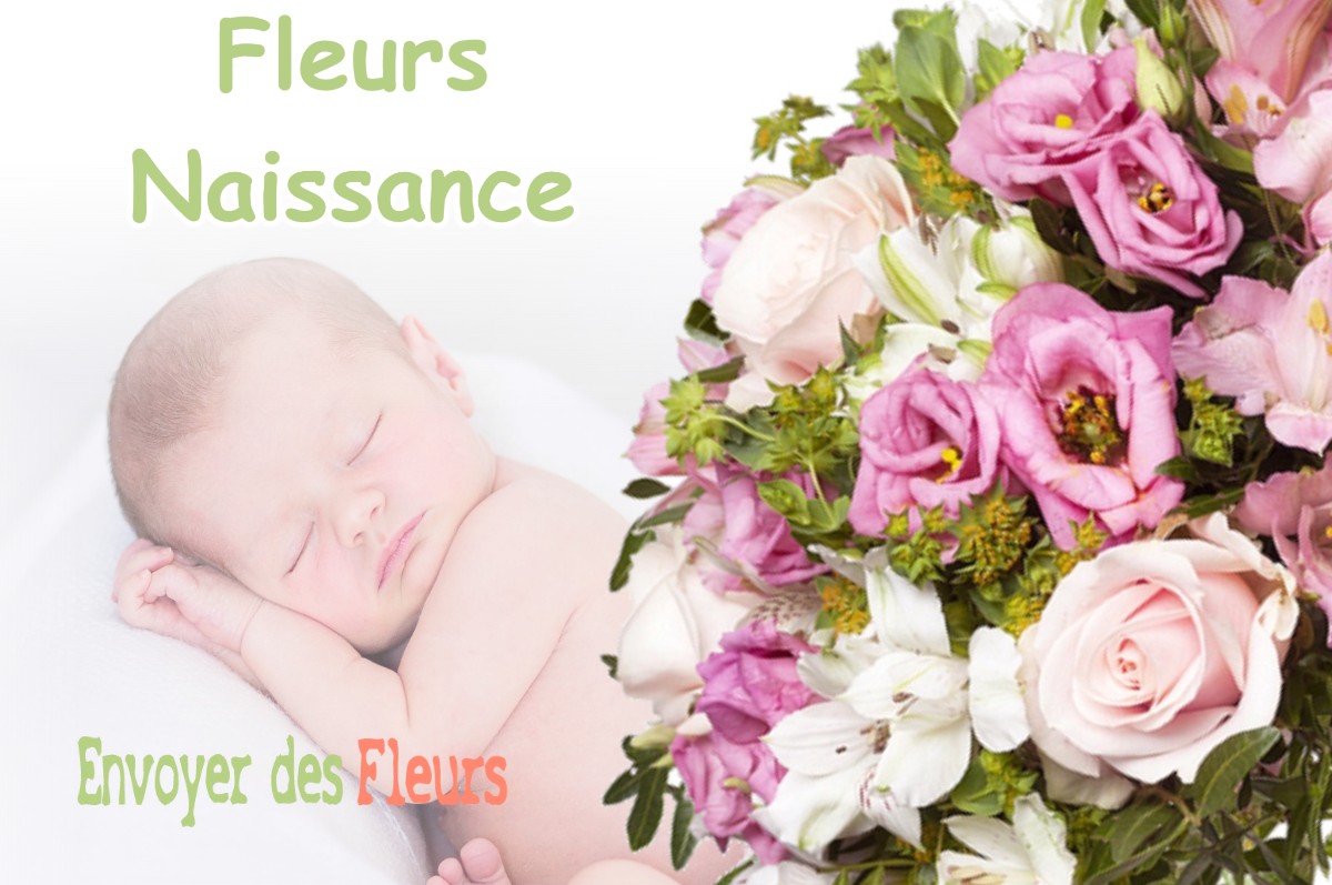 lIVRAISON FLEURS NAISSANCE à SAINT-JEAN-DE-BOURNAY