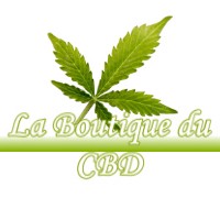 LA BOUTIQUE DU CBD SAINT-JEAN-DE-BOURNAY 